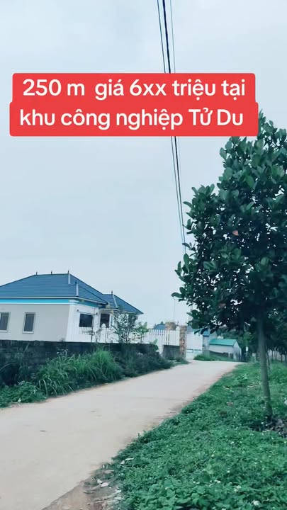 Đất Lập Thạch Vĩnh Phúc 250m² - Đường 7m, 3 ô tô tránh, Giá tốt