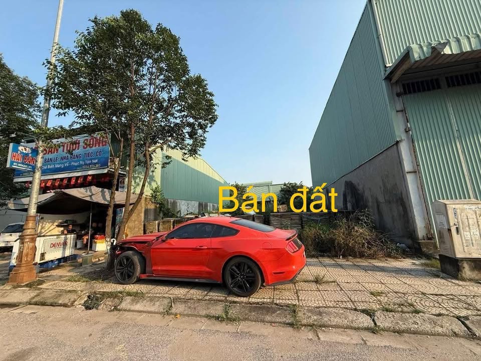 Bán đất Mặt tiền QL1A, Từ Sơn, Bắc Ninh - 80m², Kinh doanh đắc lộc