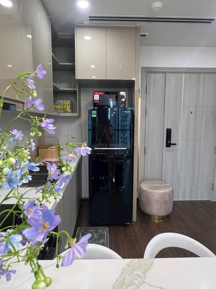 Căn hộ Vinhomes Smart City Tây Mỗ từ 6tr - View đẹp