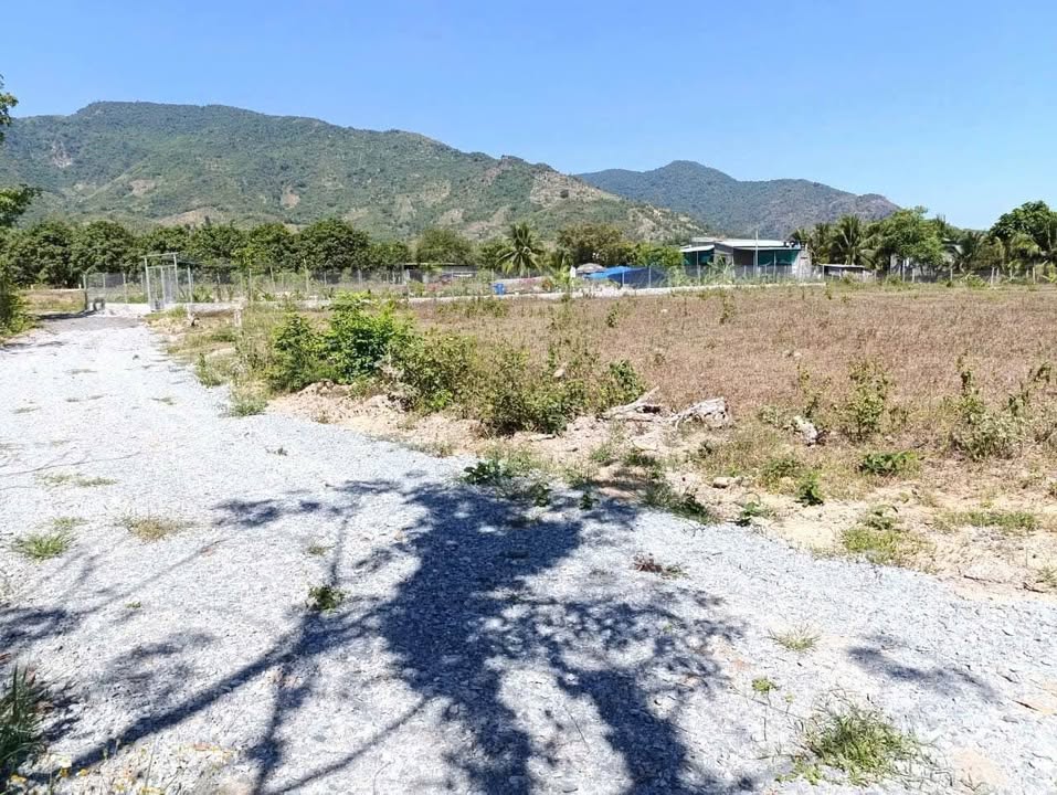 Đất nền Suối Tiên Diên Khánh 534m² giá 750 triệu - Ô tô vào tận nơi!