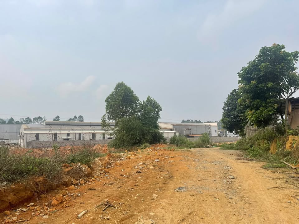 Đất nền KCN Phù Ninh, Phú Thọ 110m² - Sổ đỏ chính chủ