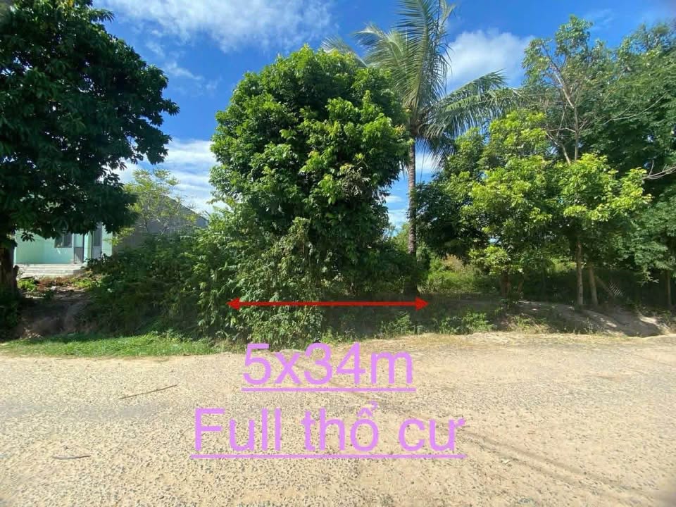 Bán Đất Thổ Cư 155m² Xã Đoàn Kết, Đăk Hà - Giá Chỉ 2xx Triệu