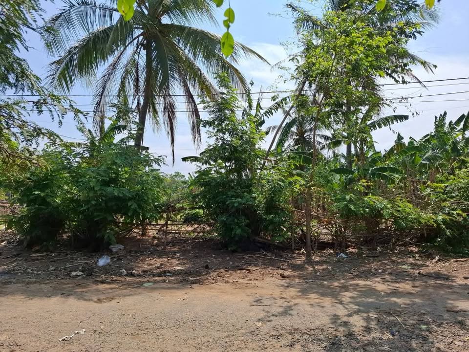 Đất nền Kon Tum 1200m² Nguyễn Thái Bình - Đường to ô tô, tiềm năng lớn!