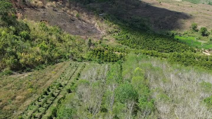 Đất vườn Hơ Moong 9.7ha - Sinh thái xanh, đầu tư bền vững!