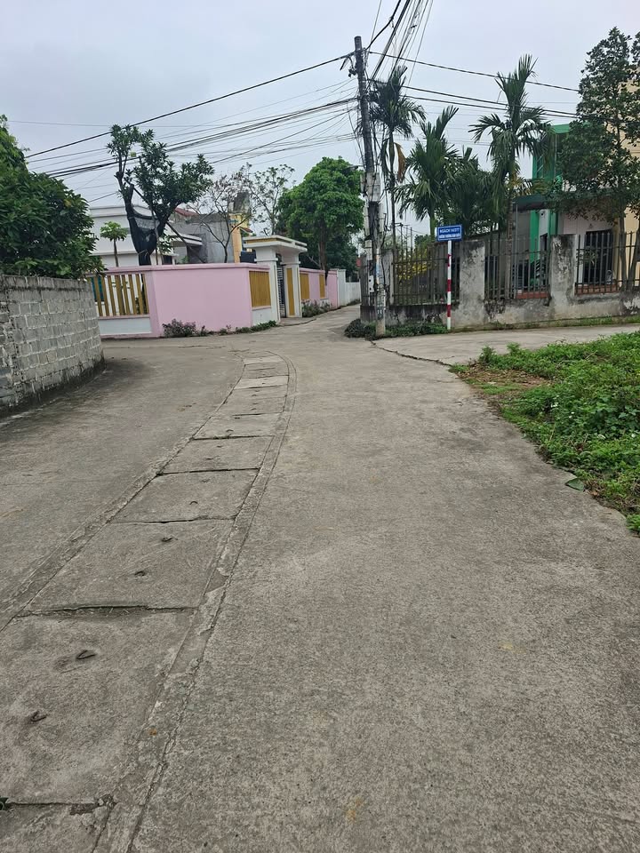 Bán đất Phố Liêu Trung, Nho Quan 125m² - Hướng Nam, Dân cư sầm uất