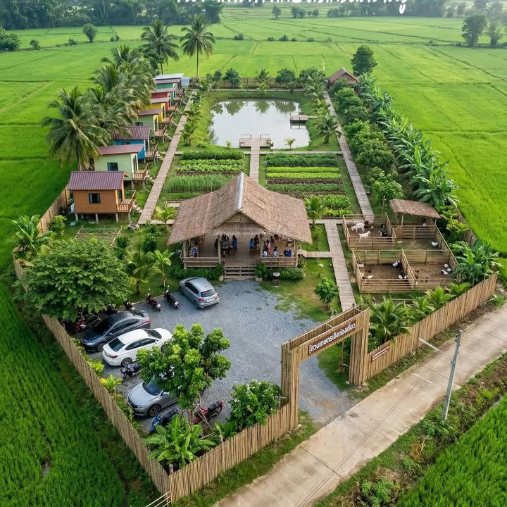 Đất vườn Tân Phú Trung Củ Chi 1423m² - Nghỉ dưỡng lý tưởng!