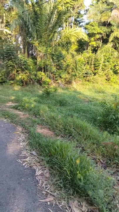 Đất nền CCG Thái Mỹ Thuận An 1260m² 4.5 tỷ - Đường to ô tô