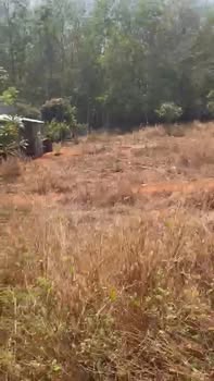 Đất nền Gia Lai 224m² giá 200 triệu - Sổ đỏ chính chủ!