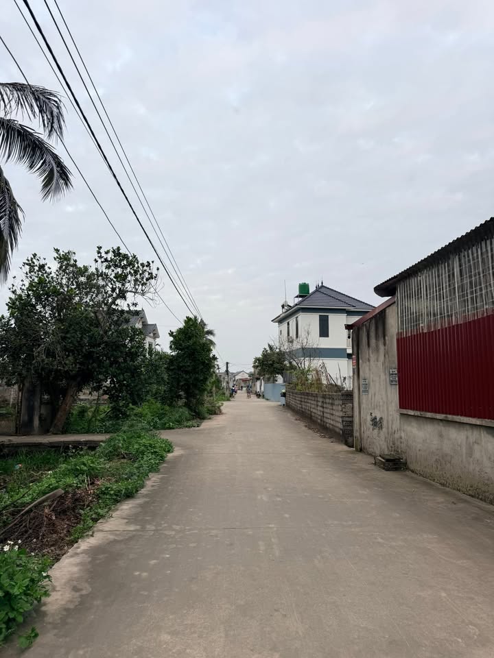 Đất nền Tiên Lãng 172m² 1 tỷ - Đường to ô tô