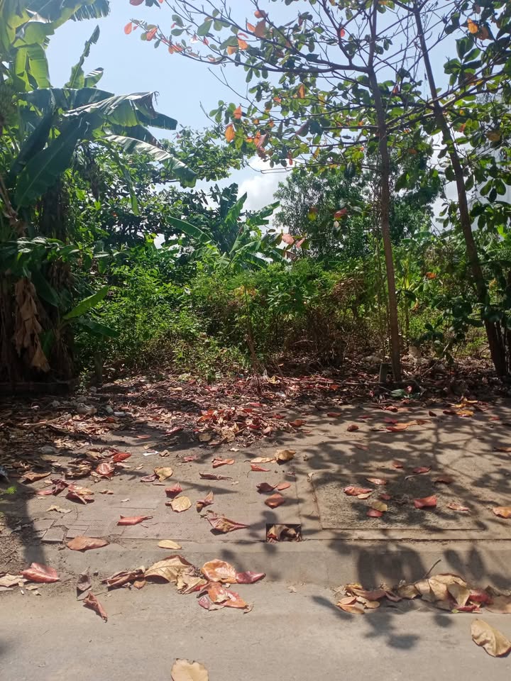 Đất Nền Sóc Trăng 100m² - Mặt Tiền Đường 9b, Khu 5A - Sổ Hồng Thổ Cư