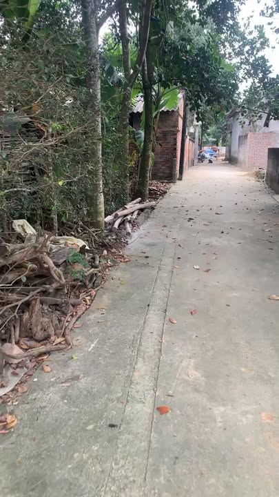 Đất nền Hoàng Xá Thạch Thất 127m² - Tiềm năng tăng giá vượt trội!