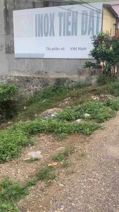 Đất Mặt Đường 477 Đức Long Nho Quan - Sổ Hồng Sẵn Sàng, Diện Tích 120m²