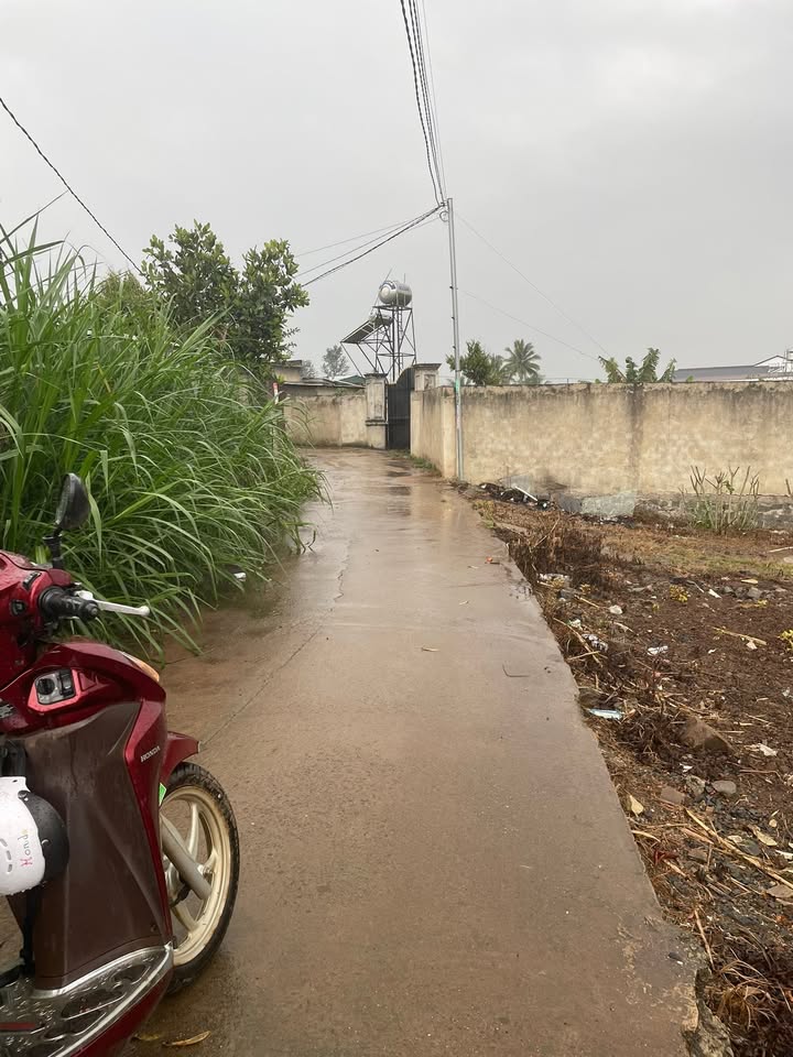 Đất nền Tân Hội 840m² giá 1.4 tỷ - Pháp lý minh bạch