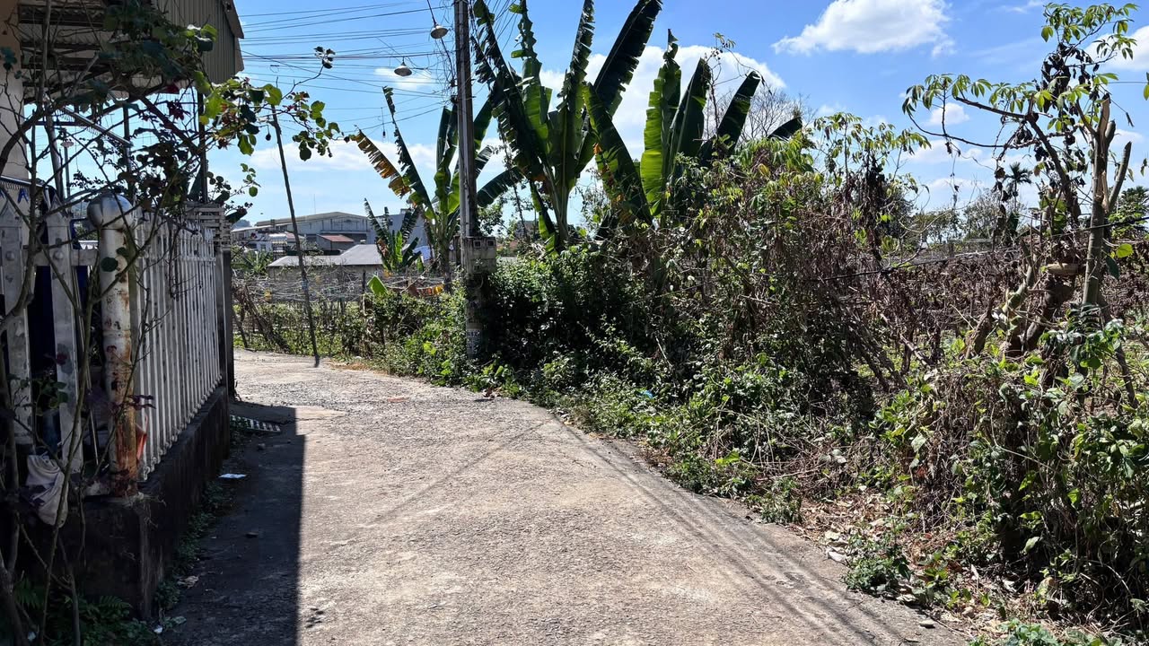 Đất Đức Trọng 682m² - Sổ Thổ Cư, Gần Chợ Phi Nôm Giá 2.5 Tỷ