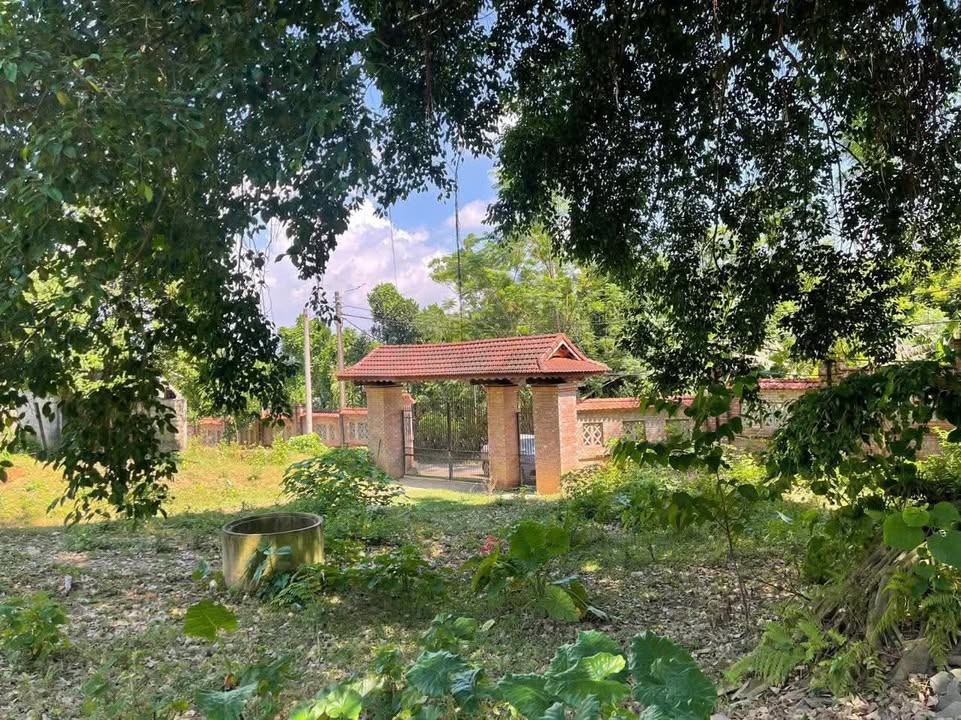 Nhà vườn Phường Thống Nhất TP Hòa Bình 7400m² - Nghỉ dưỡng lý tưởng!