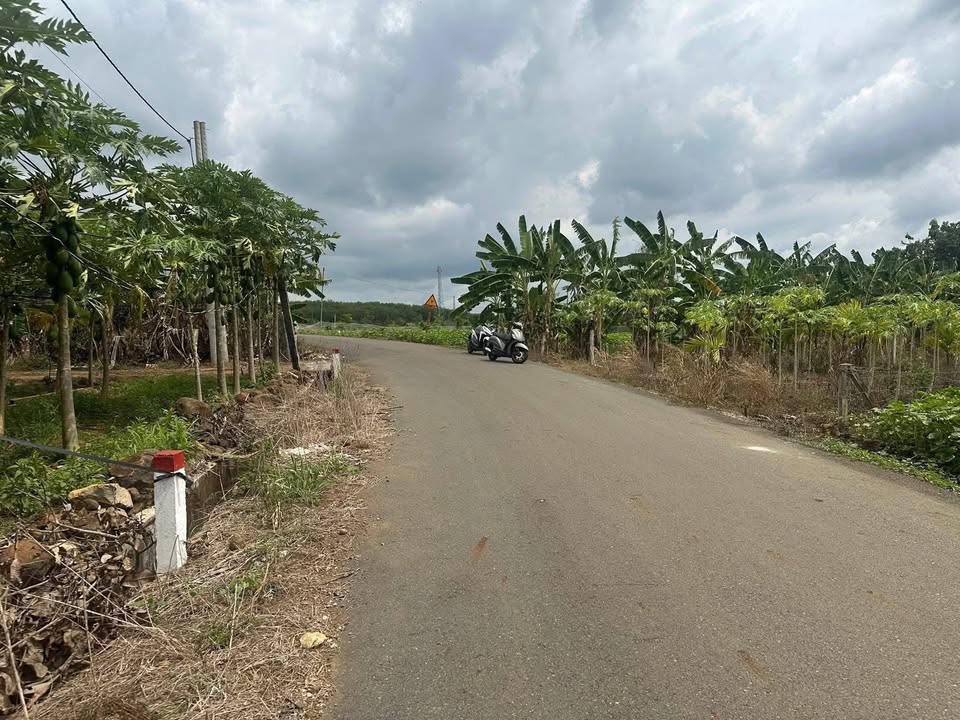 Đất thổ cư 150m² Nghĩa Thành, Châu Đức - Gần trường Ngô Quyền, Giá 580 triệu