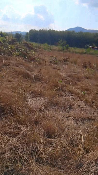 Bán Đất Nền Ngọc Hồi, Kon Tum 10.000m² - Giá Chỉ 4xx Triệu