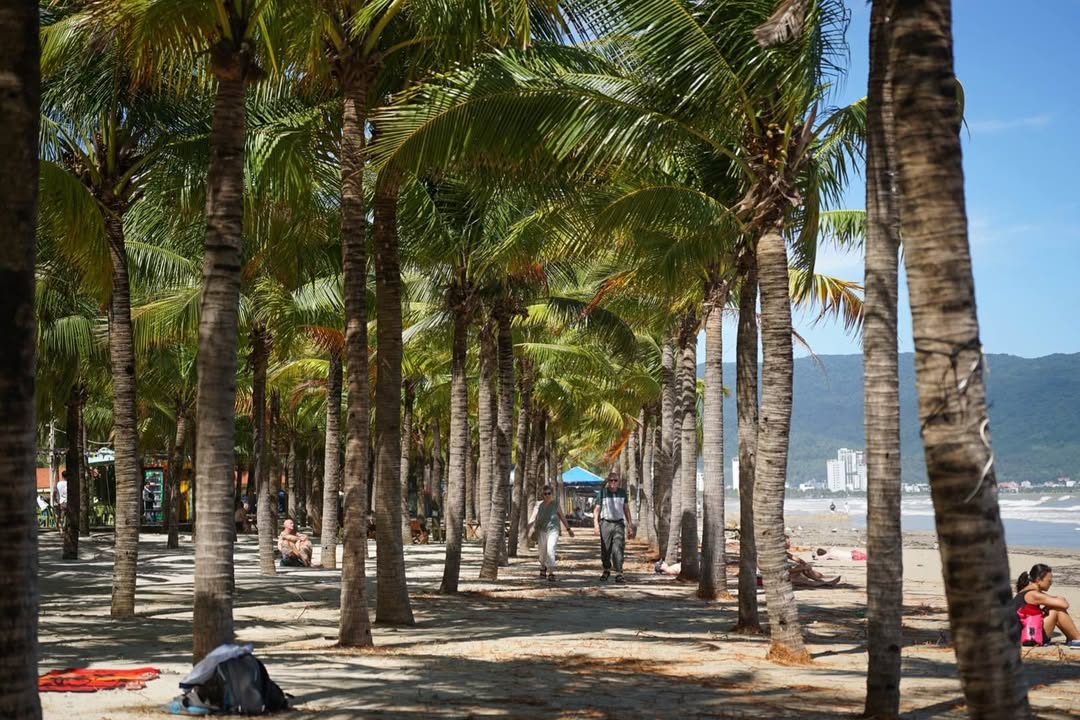 Đất Vàng Sơn Trà 336m² - Ngang 10m, Tặng Nhà 2 Tầng, Sát Biển Mỹ Khê