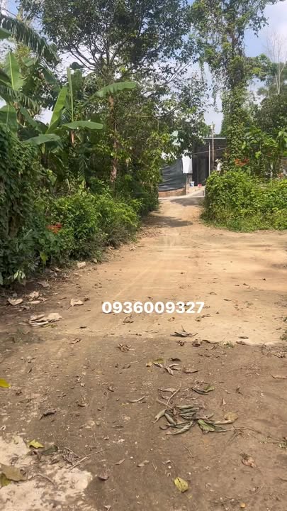 Bán Đất Mặt Tiền QL14G Cẩm Lệ 120m² - Giá 9xx Triệu