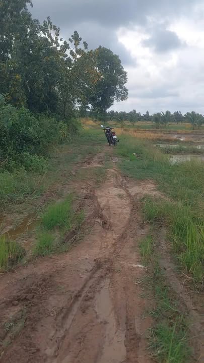 Đất nền An Ngãi Trung, Ba Tri 1500m² giá 550 triệu - Sổ đỏ chính chủ