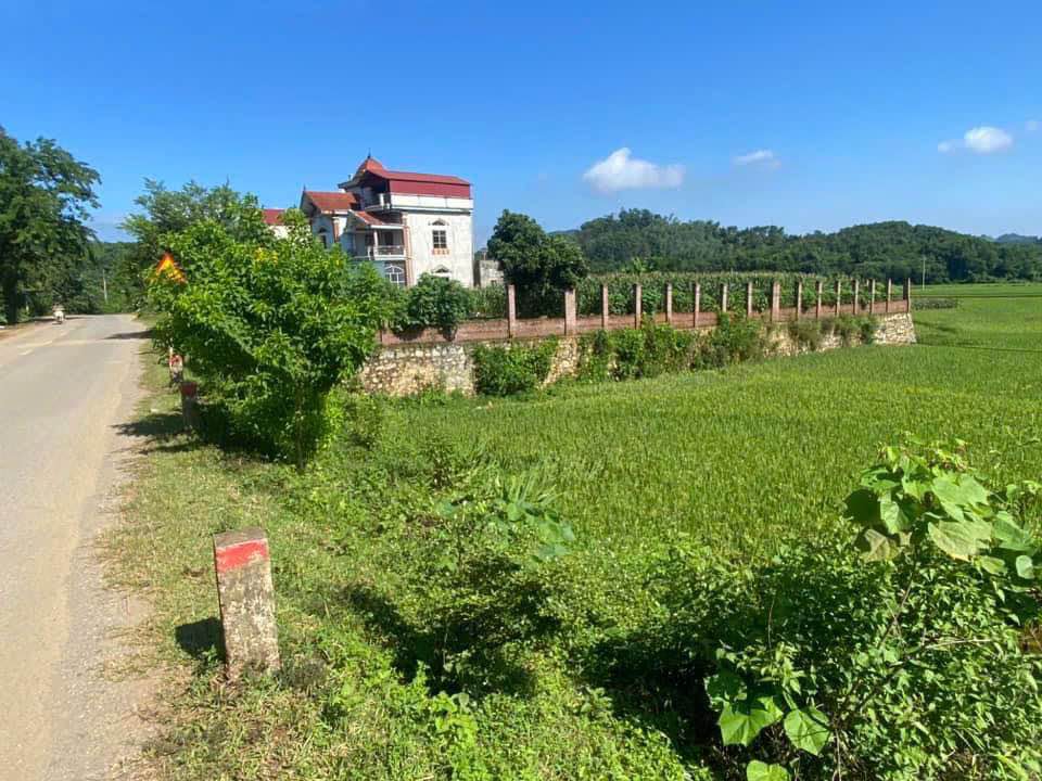 Đất nền Thạch Thất 904m² - Sổ đỏ chính chủ, vị trí đắc địa!