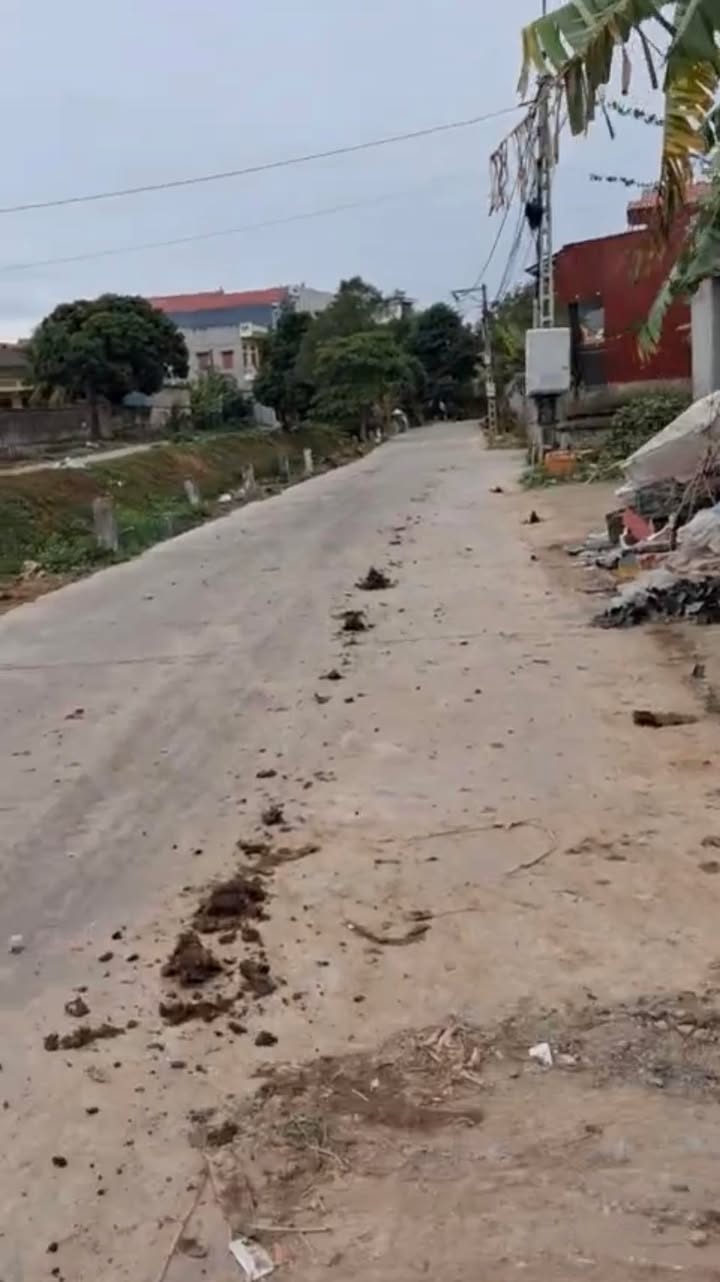 Đất nền Hương Mai Việt Yên 131.7m² giá 2.2 tỷ - Đường to ô tô