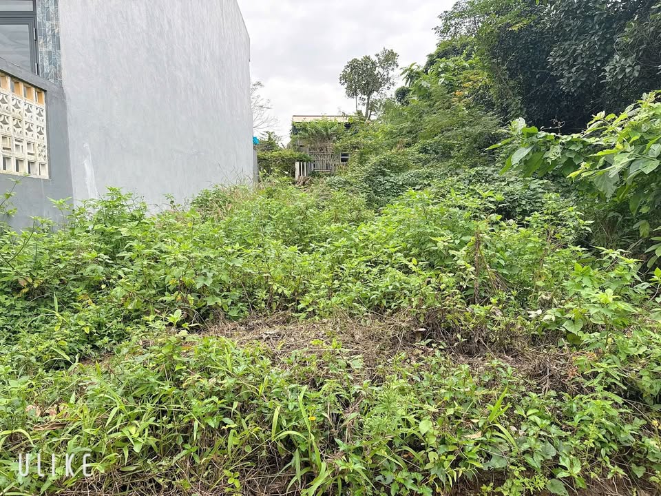 Đất nền Hòa Vang, Đà Nẵng 131m² - Tiềm năng tăng giá vượt trội!