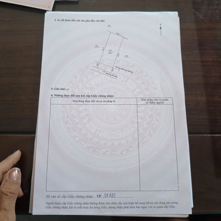 Đất Nền Hòa Xuân 160m² Sổ Đỏ Chính Chủ - Sát Chợ Đầu Mối Mới