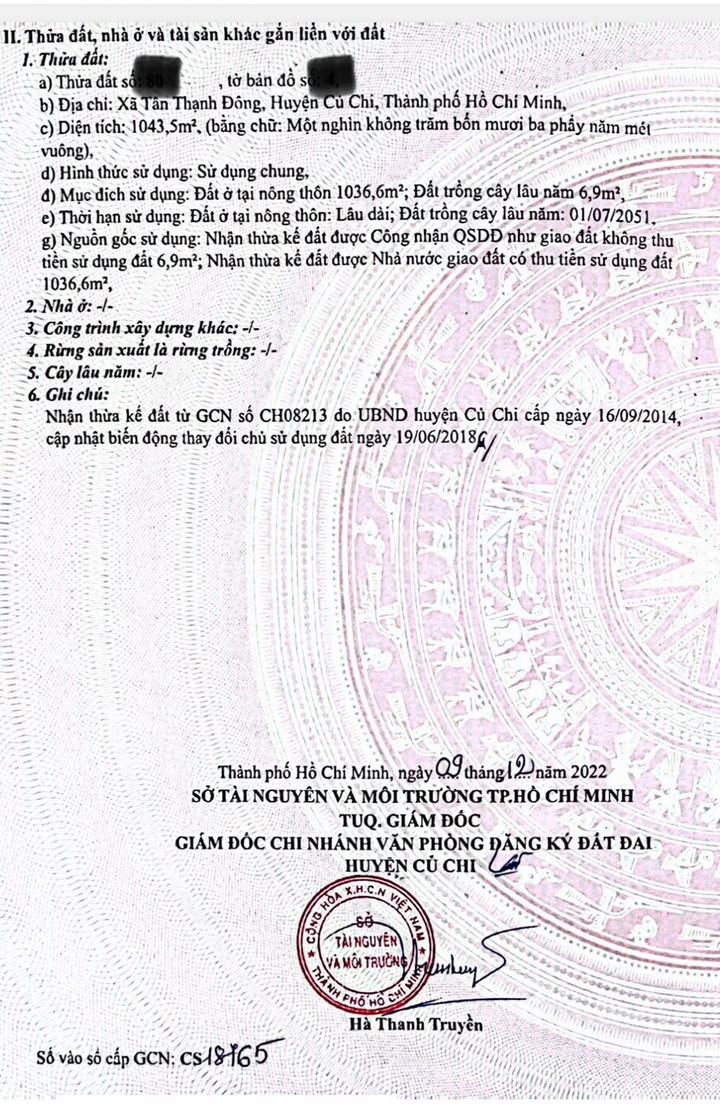 Bán Gấp Lô Đất 1043m² Mặt Tiền Củ Chi - Dòng Tiền Khủng Từ 33 Phòng Trọ