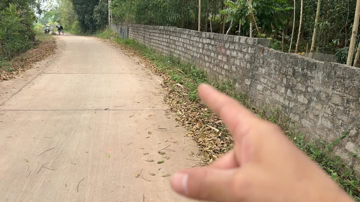 Đất nền Tân Hiệp, Yên Thế, Bắc Giang 173m² - Tiềm năng tăng giá!