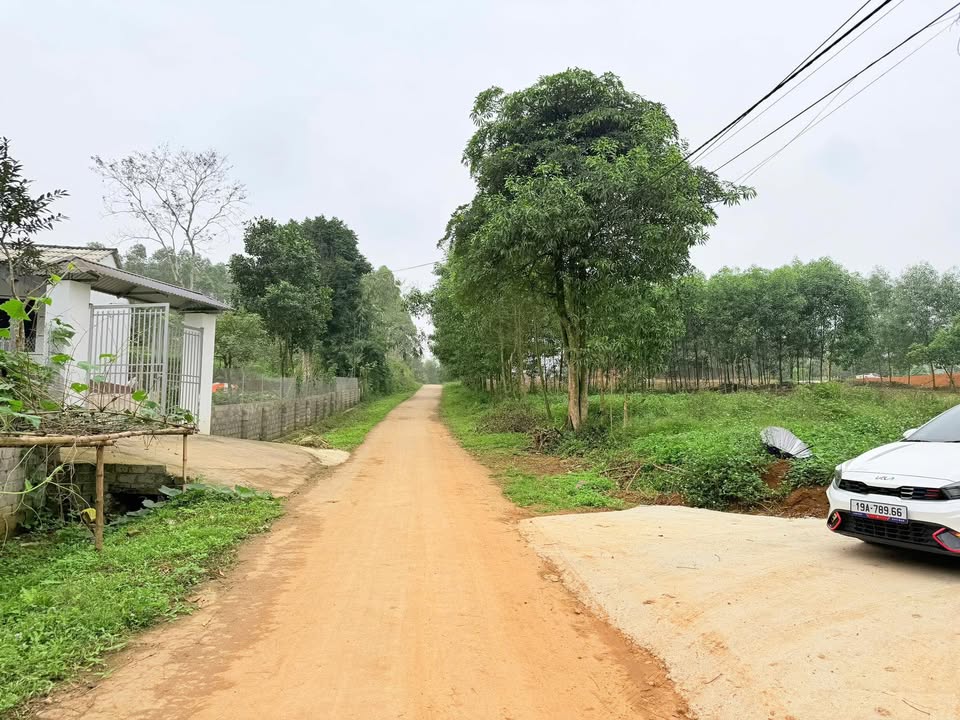 Đất Đan Thượng, Hạ Hoà 1000m² - Thổ cư 100%, tiềm năng đầu tư!