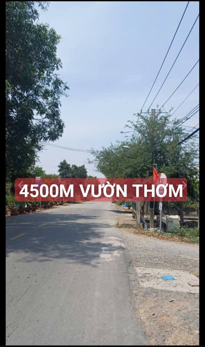 Đất Vườn 4500m² Bình Lợi Bình Chánh – Sổ hồng riêng, Đầu tư dài hạn!