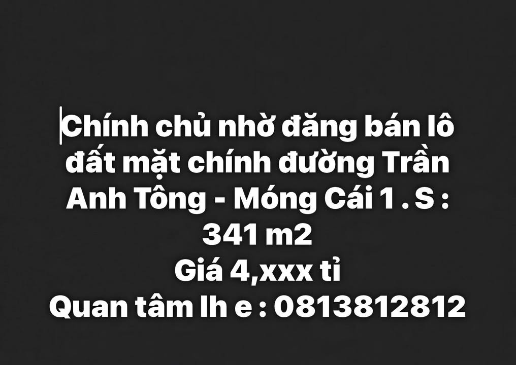 Đất Vàng Mặt Tiền Trần Anh Tông, Móng Cái - 341m² - Giá Đầu Tư
