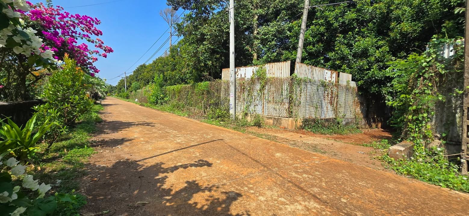 Đất nền Xuân Định, Đồng Nai 360m² - Sổ đỏ chính chủ, sang tên ngay!