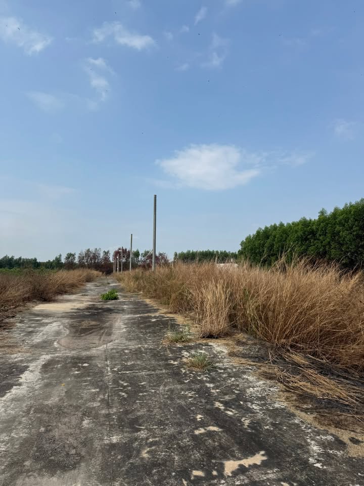 Đất nền Long Đức, Long Thành 155m² 1 tỷ - Sổ đỏ chính chủ