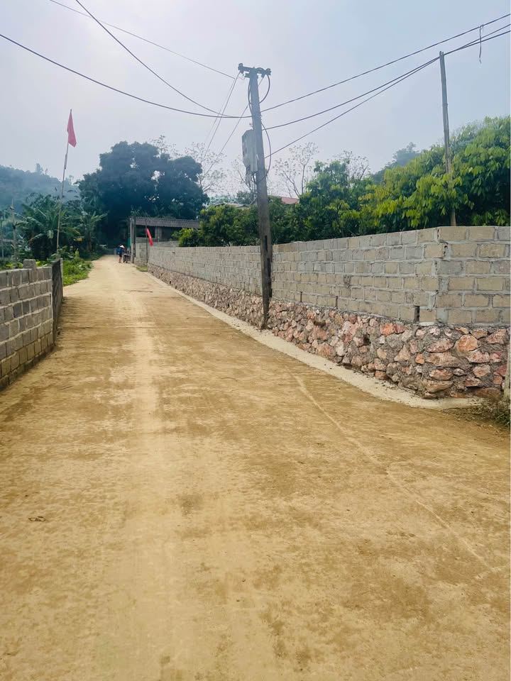 Đất nền Liên Sơn Lương Sơn 501.8m² - Nghỉ dưỡng lý tưởng!