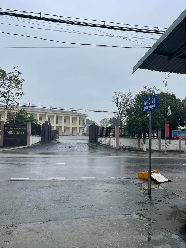 Đất nền Cẩm Khê 400m² giá 1 tỷ - Tiềm năng tăng giá