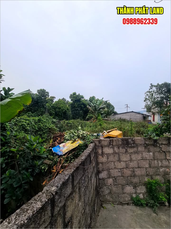 Đất nền Đức Chính Đông Triều 164m² - Tiềm năng tăng giá cao!