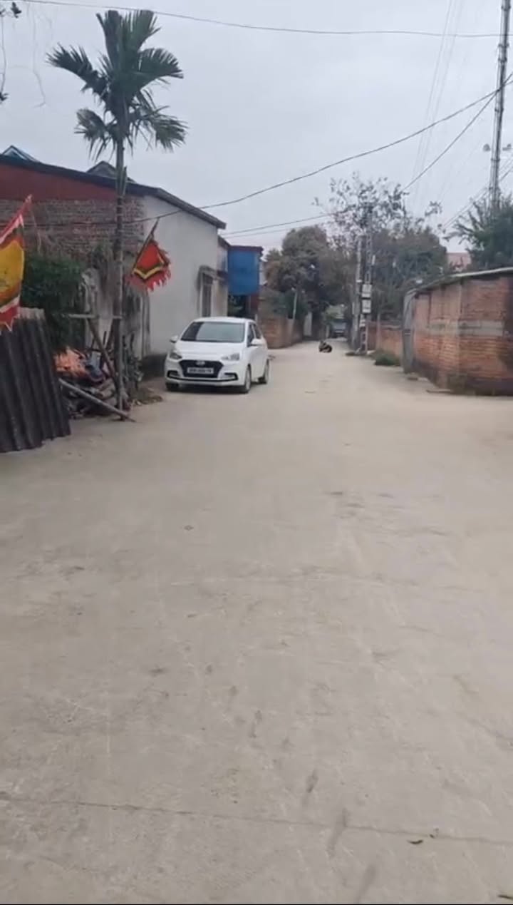 Đất nền Việt Yên 100m² giá 500-700 triệu - Hạ tầng hoàn thiện!