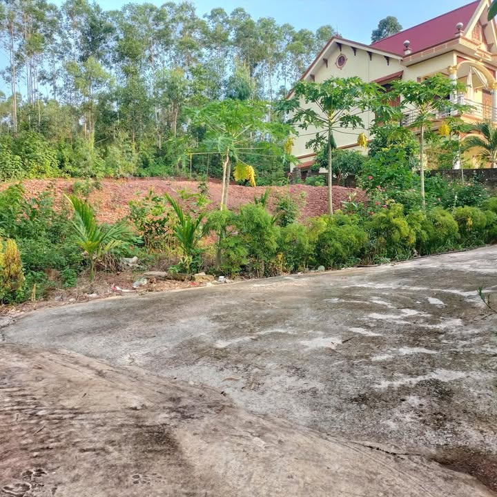 Đất Nền Lạng Giang 360m² Full Thổ Cư - Sẵn Sàng Xây Dựng