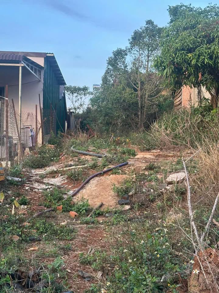 Bán Đất Đắk Mil 100m² - Thổ cư 100%, Sẵn Sàng Xây Nhà