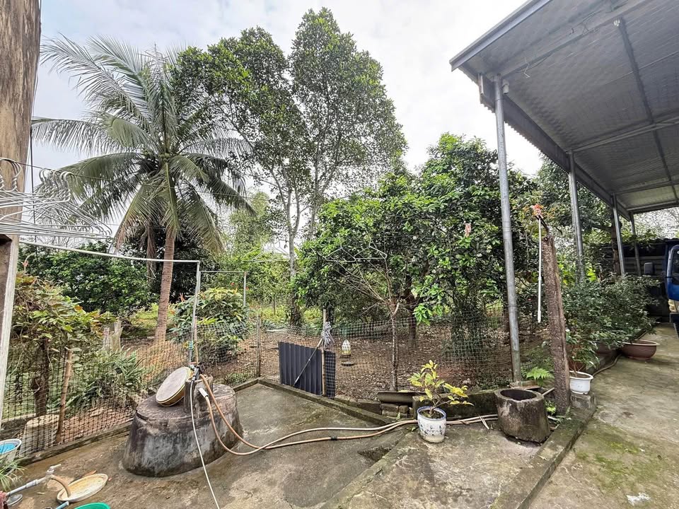 Đất nền 1000m² Tân Quang, Sông Công - Sổ đỏ sẵn, tiềm năng lớn