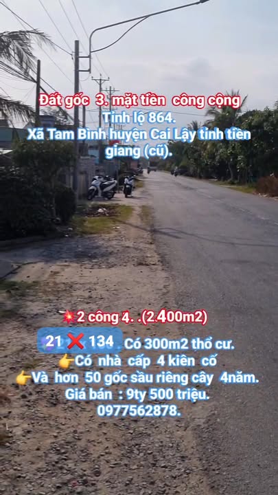 Bán gấp đất mặt tiền Tỉnh lộ 864, Cai Lậy, Tiền Giang - 2400m² có nhà & sầu riêng