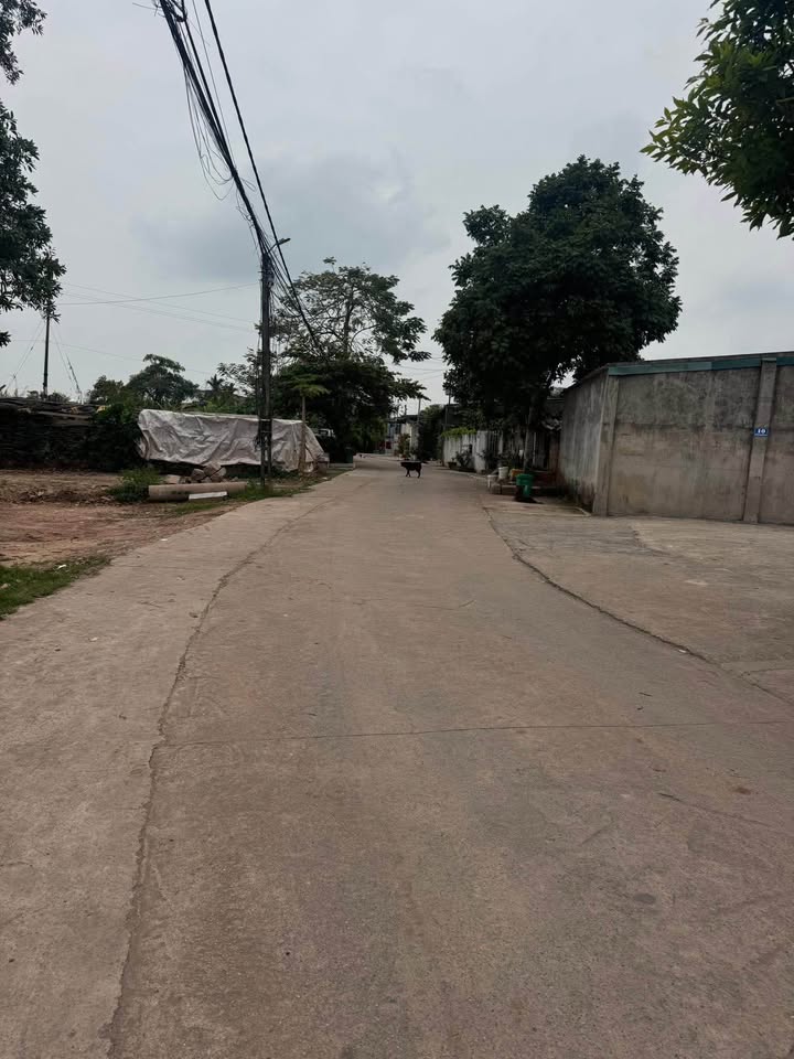 Đất nền Khu Gốc Mít Móng Cái 117m² - Đường to ô tô, giá tốt!