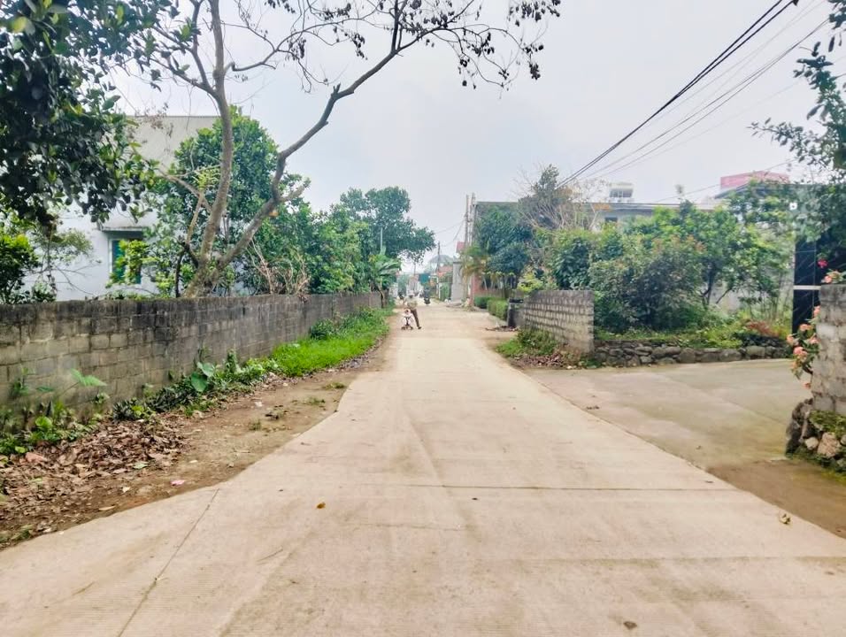 Đất Nền Lương Sơn Hòa Bình 541m² - Tiềm năng tăng giá vượt trội!