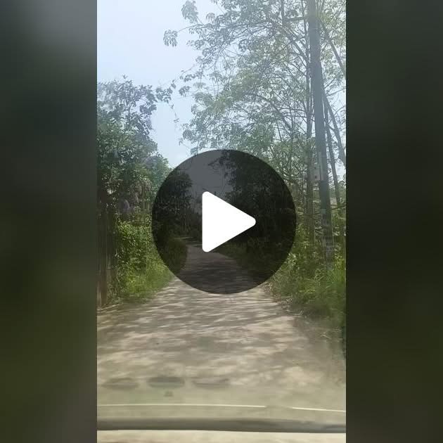 Đất Nền Long Nguyên Bàu Bàng 1100m² - Sổ Hồng Sẵn Sàng - Giá Tốt