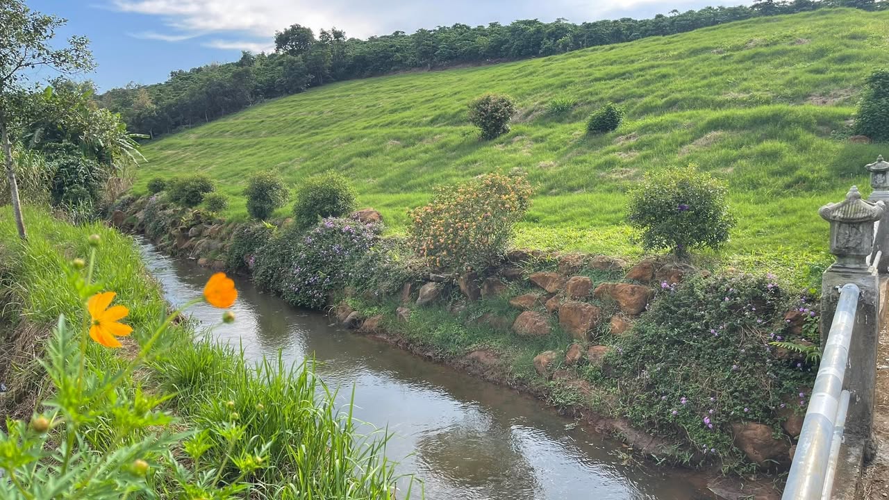 Đất Nền 8000m² Lộc An, Bảo Lâm - Giảm Giá Sốc 7.1 Tỷ, View Đồi Tuyệt Phẩm