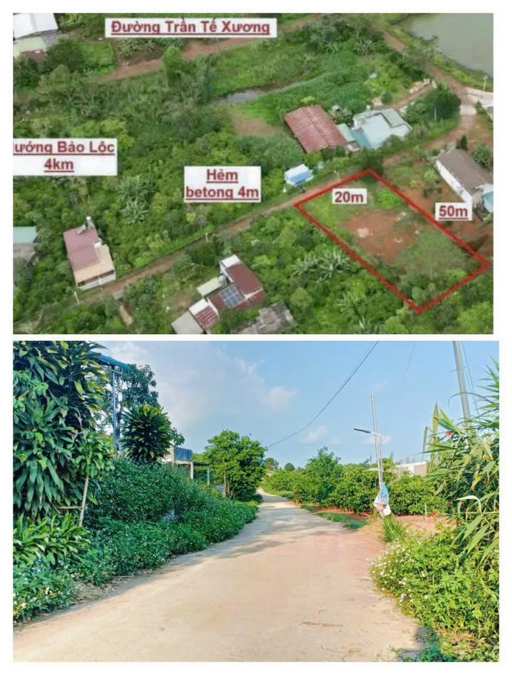 Bán Đất Trần Tế Xương, Bảo Lộc 1000m² - Sổ Đỏ Chính Chủ, Giá Ngộp 2.99 Tỷ