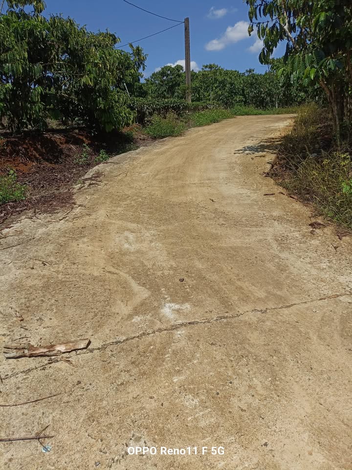 Đất nền Lộc An, Bảo Lâm 729m² giá 650 triệu - Tiềm năng tăng giá!