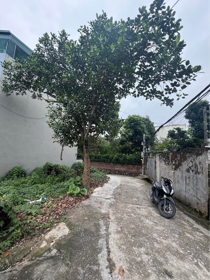 Đất nền Hà Lầm, Hạ Long 50m² chỉ 700 triệu - Đường to ô tô đỗ cửa!